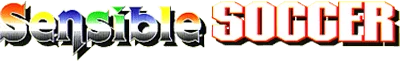 Sensible Soccer: European Champions logo