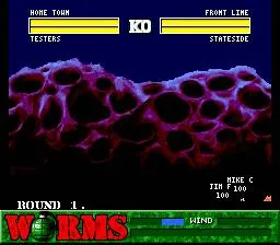 Worms screenshot