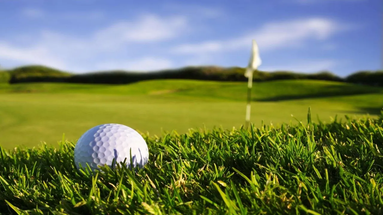 Backdrop artwork for Chi Chi's Pro Challenge Golf