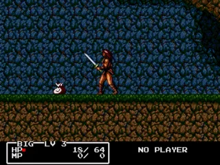Cadash screenshot