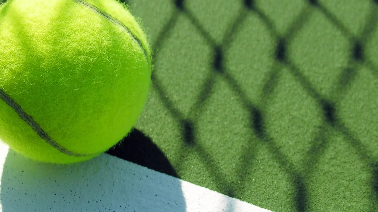 Backdrop artwork for Davis Cup Tennis