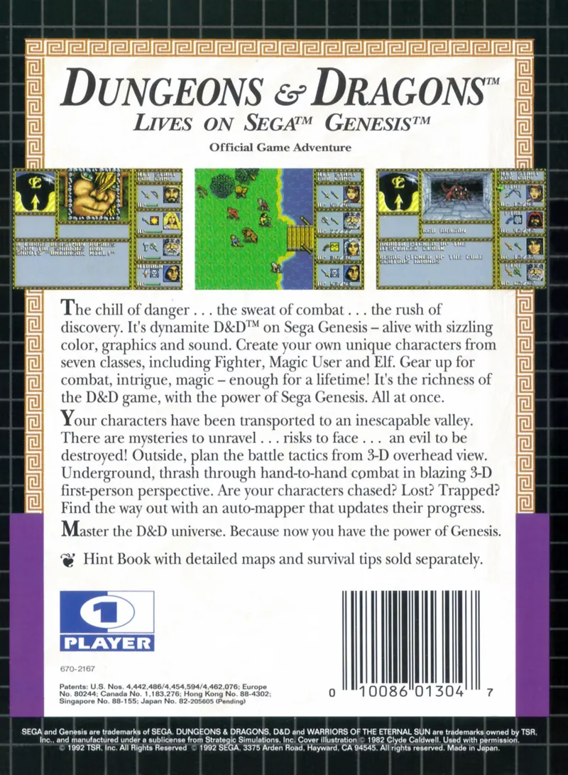 Dungeons & Dragons: Warriors of the Eternal Sun box back