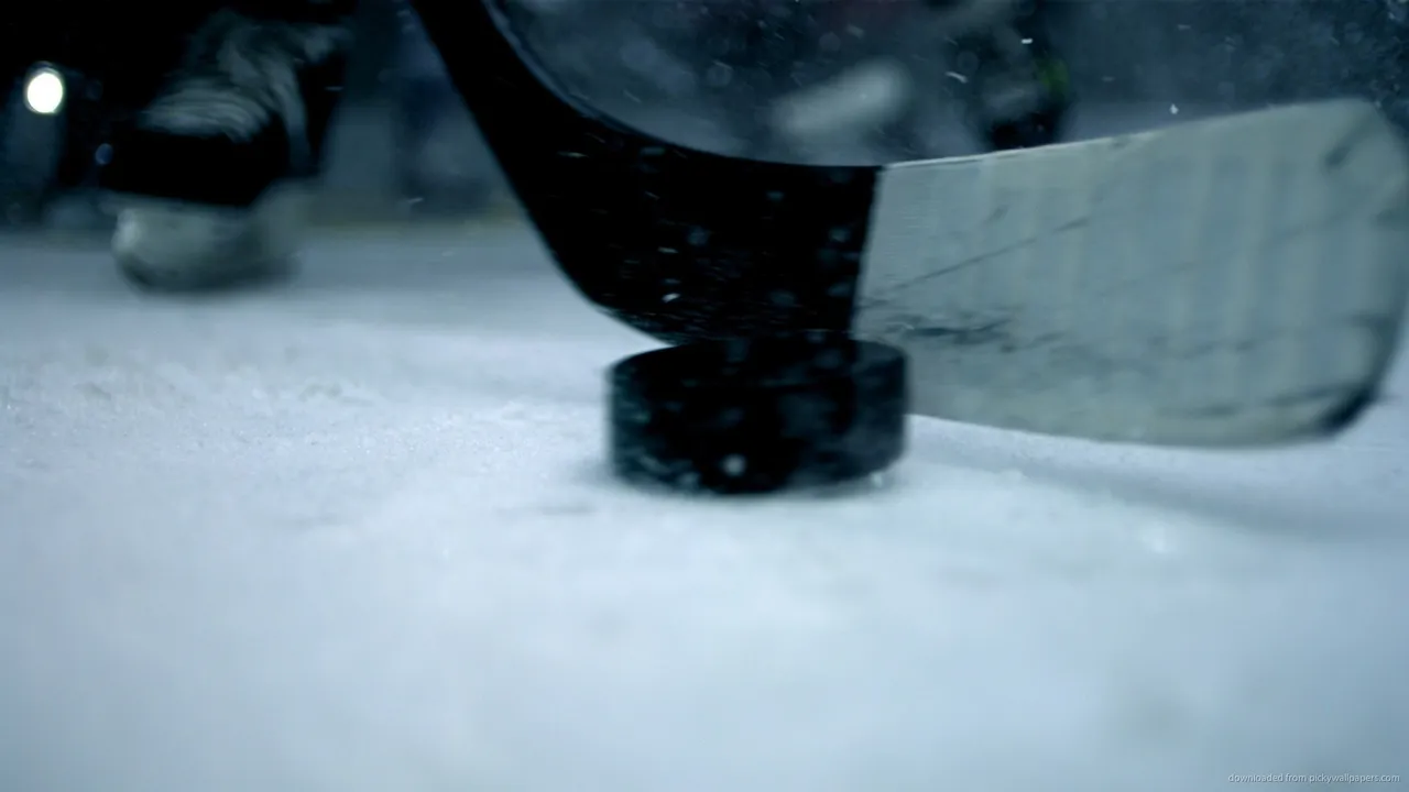 Backdrop artwork for Hit the Ice: VHL: The Official Video Hockey League