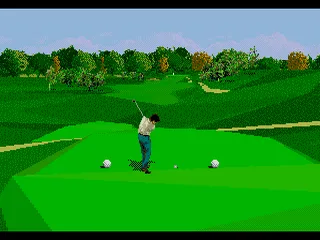 PGA Tour 96 screenshot