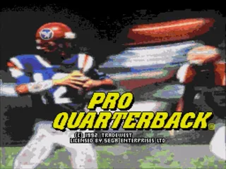 Pro Quarterback screenshot