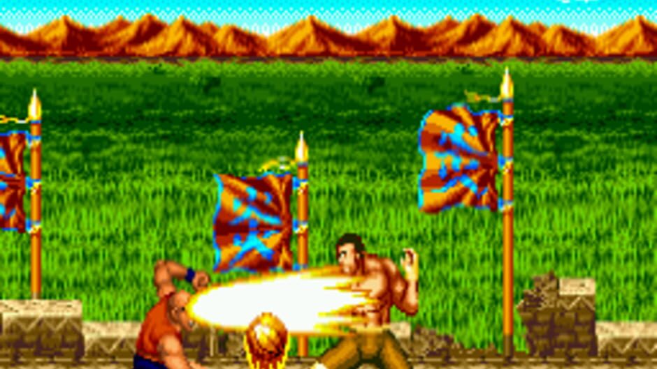 Top Fighter 2000 MK VIII screenshot