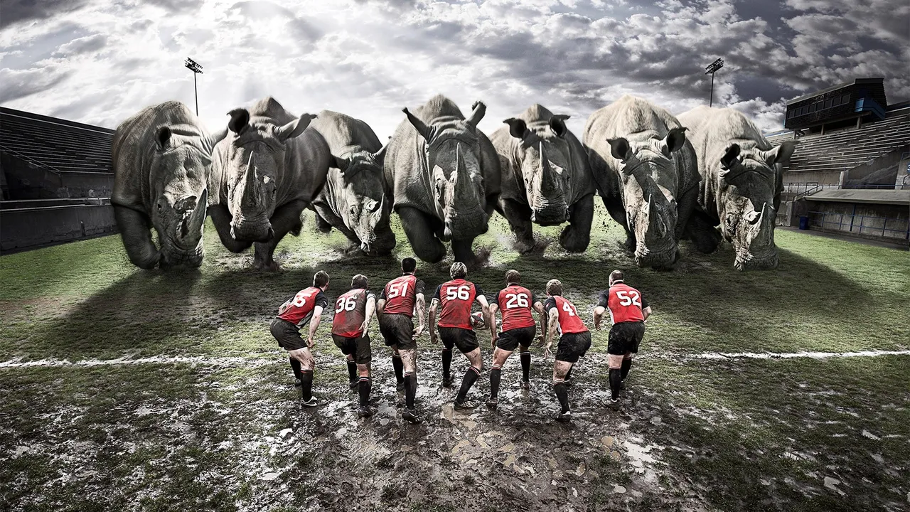 Backdrop artwork for Rugby World Cup 95
