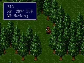 Sorcerer's Kingdom screenshot