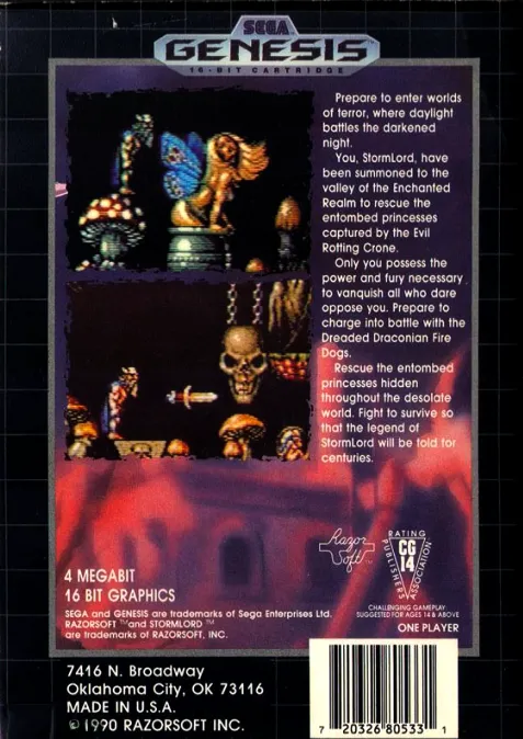 Stormlord box back