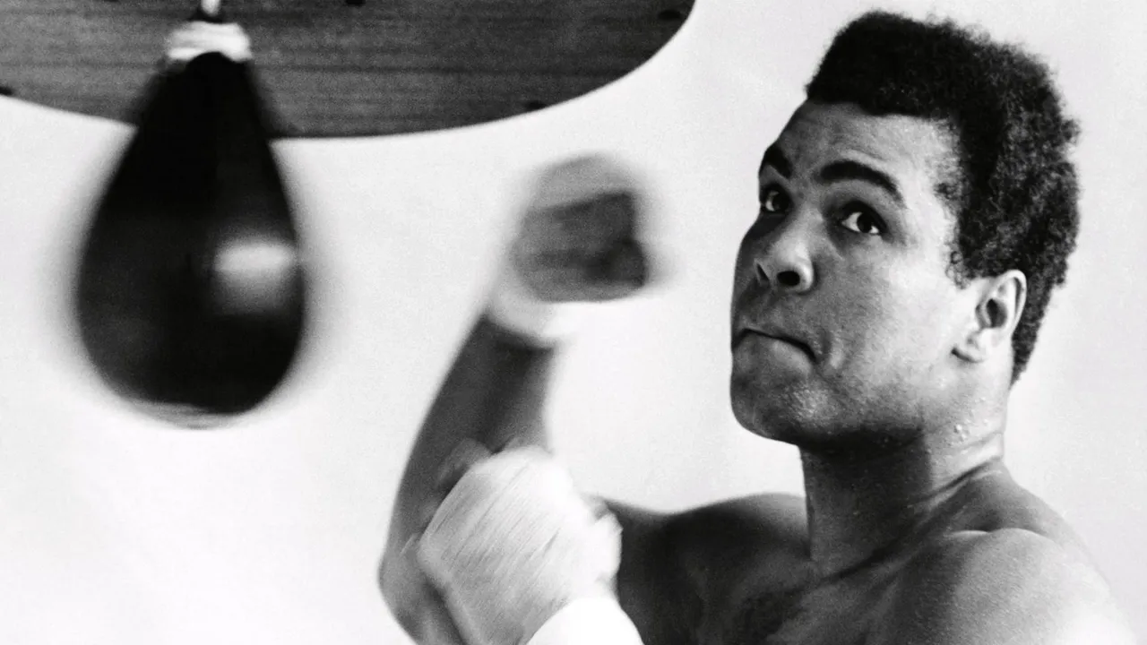 Backdrop artwork for Muhammad Ali Heavyweight Boxing