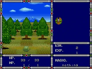 Sword of Vermilion screenshot