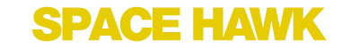 Space Hawk logo