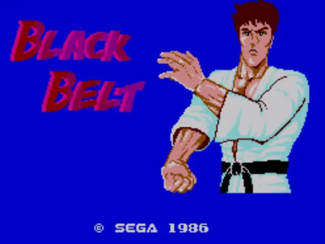 Black Belt screenshot
