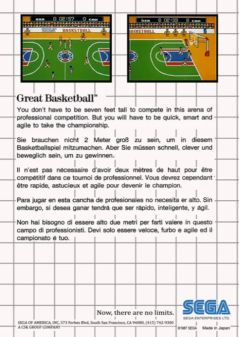 Great Basketball box back
