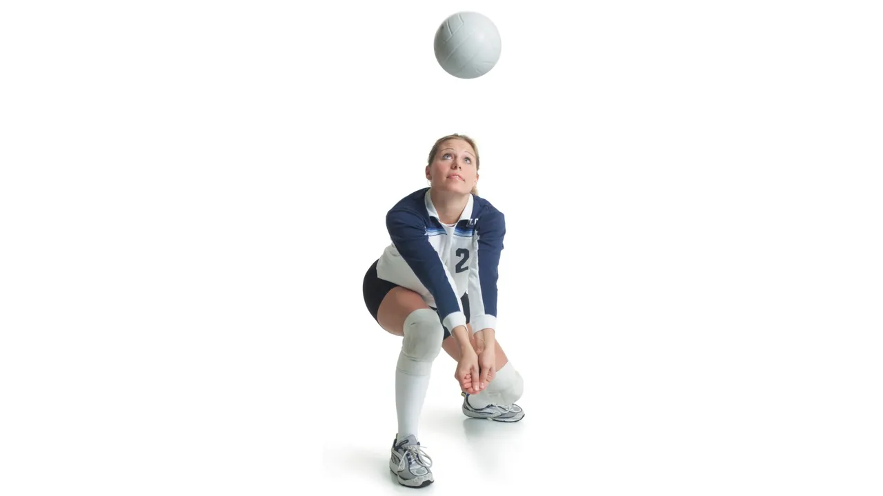 Backdrop artwork for Great Volleyball