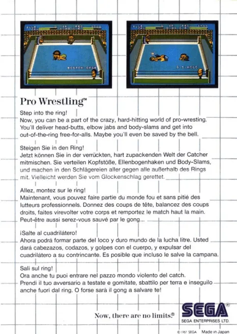Pro Wrestling box back