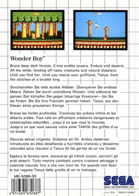Wonder Boy box back