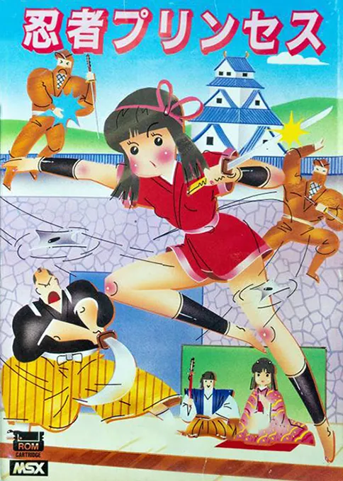 Ninja Princess box art