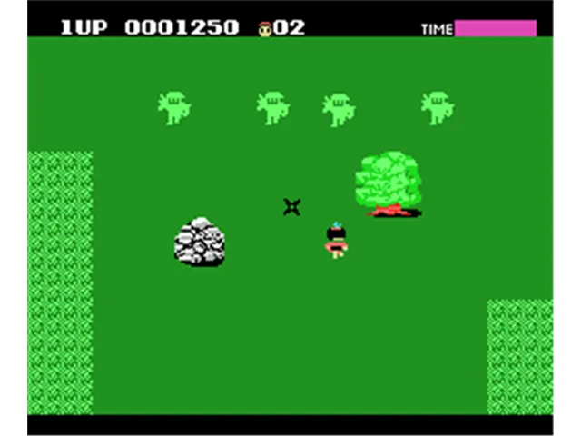 Ninja Princess screenshot