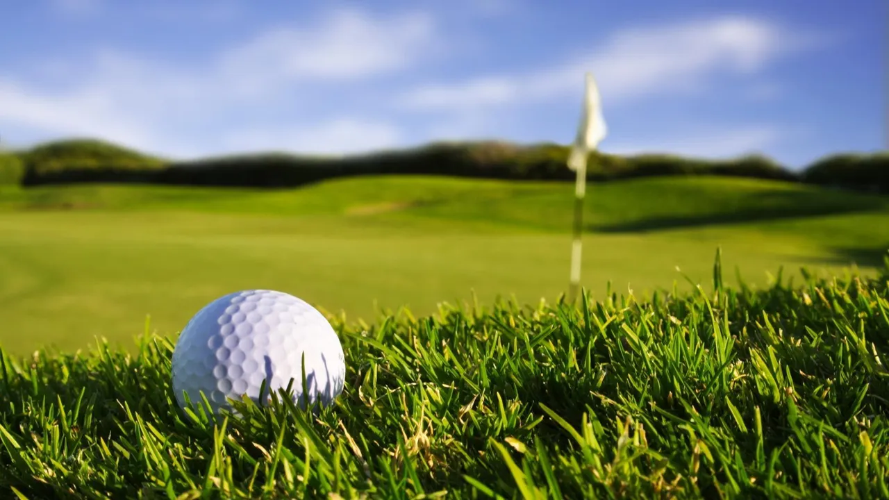 Backdrop artwork for Super Golf