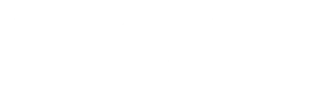 Loons: The Fight for Fame logo