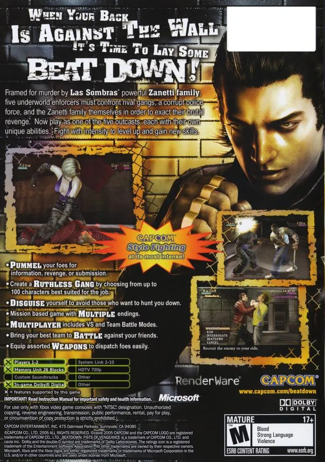 Beat Down: Fists of Vengeance box back