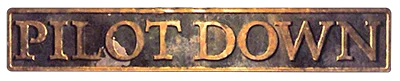Pilot Down: Behind Enemy Lines logo