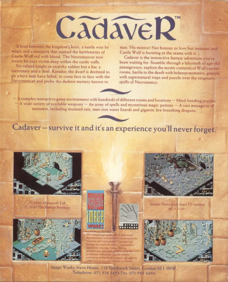 Cadaver box back