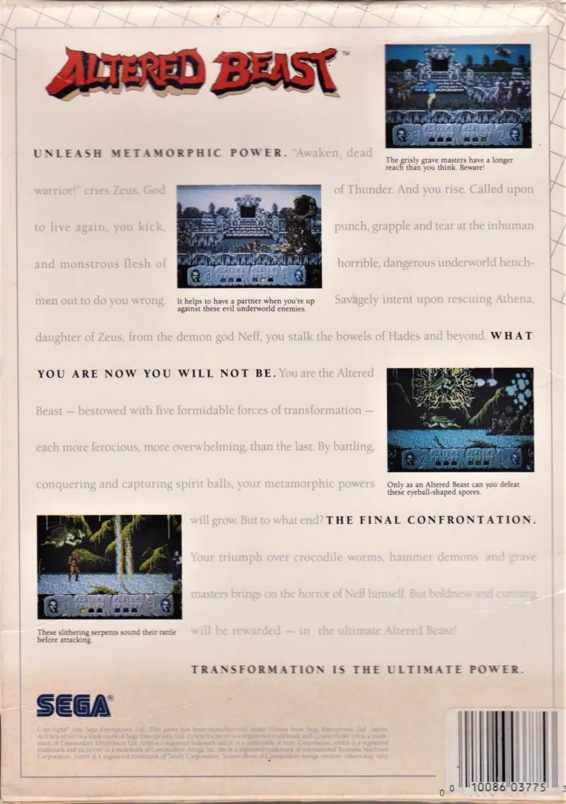 Altered Beast box back