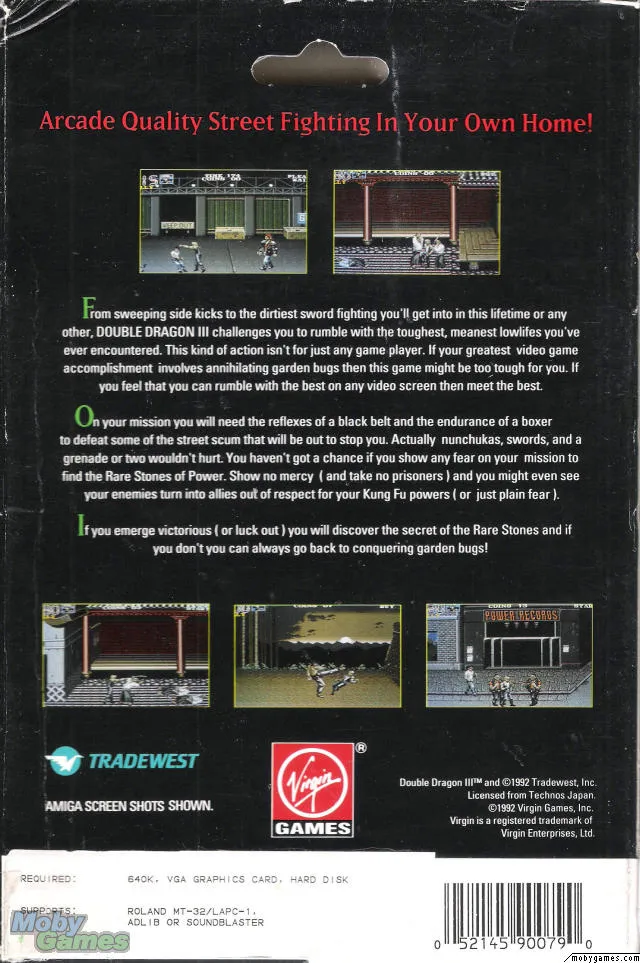 Backdrop artwork for Double Dragon III: The Sacred Stones
