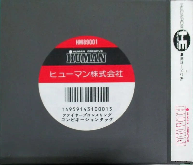 Fire Pro Wrestling: Combination Tag box back