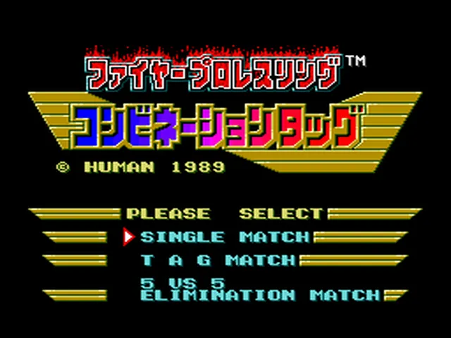 Fire Pro Wrestling: Combination Tag screenshot