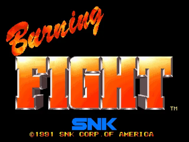 Burning Fight screenshot