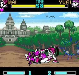 Backdrop artwork for SNK Gals' Fighters
