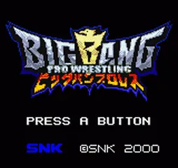 Big Bang Pro Wrestling screenshot