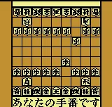 Shougi no Tatsujin Color screenshot
