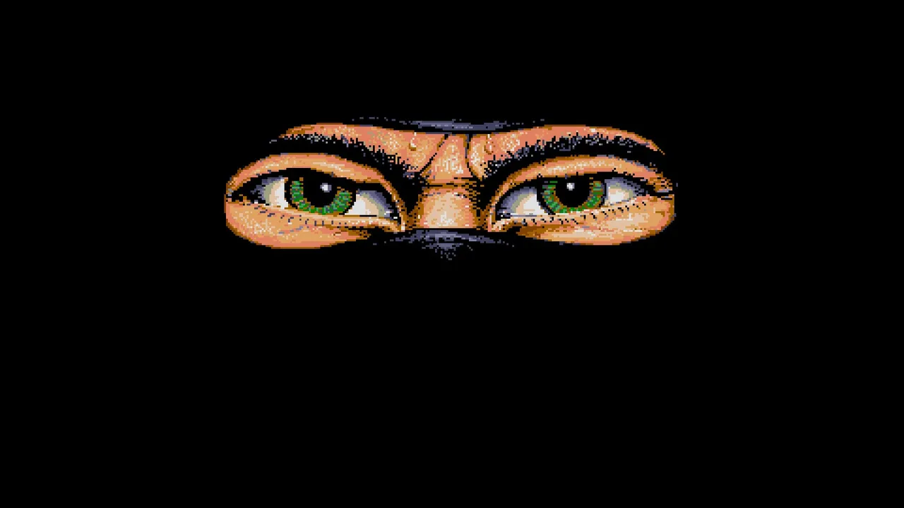 Backdrop artwork for The Last Ninja
