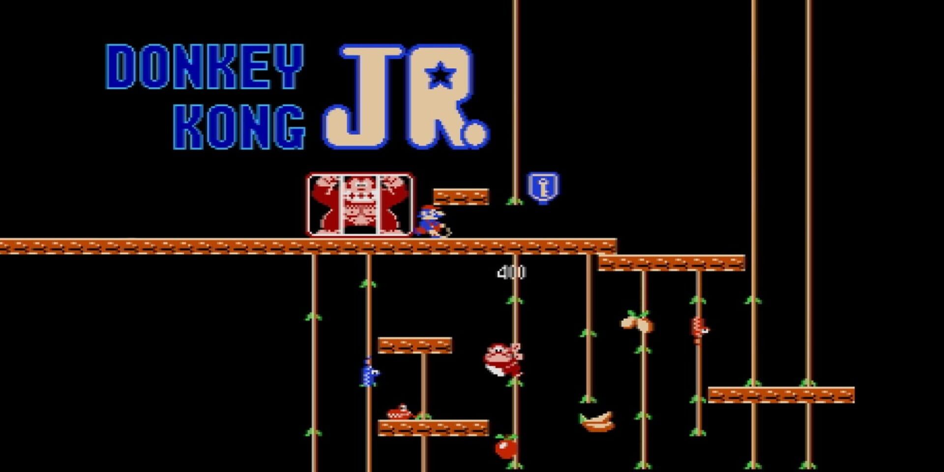 Donkey Kong Jr. backdrop