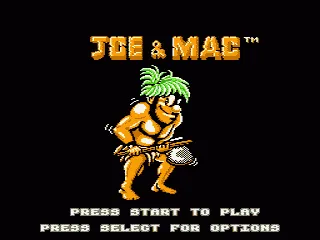 Joe & Mac screenshot