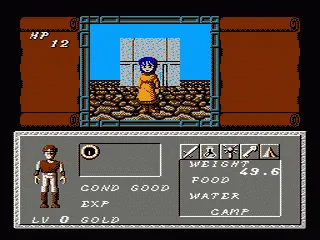 Dungeon Magic: Sword of the Elements screenshot
