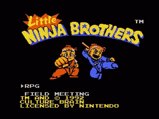 Little Ninja Brothers screenshot