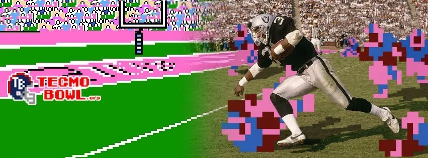 Backdrop artwork for Tecmo Super Bowl