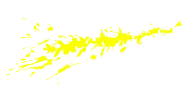 NARC logo