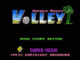 Venice Beach Volleyball screenshot