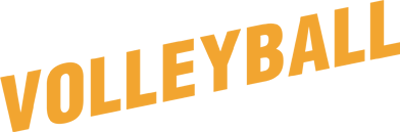 Volleyball logo