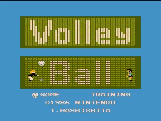 Volleyball screenshot