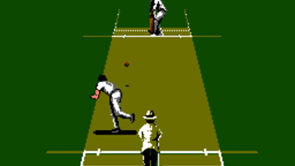 Backdrop artwork for International Cricket