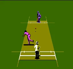 International Cricket screenshot