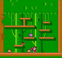 Don Doko Don screenshot