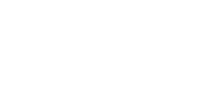 F1 2011 logo